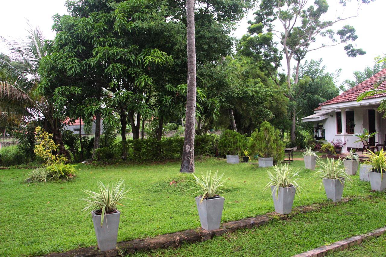 Coco Home Negombo Exterior foto